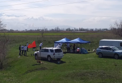 Посадка деревьев на субботнике